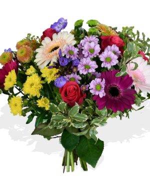 Garden Lollipop Flowers & Plants Co.