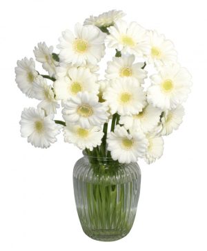 Garden Lonely as a Cloud Flowers & Plants Co.