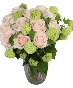 Garden Love in the Afternoon Flowers & Plants Co.