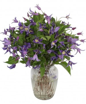 Garden Love is All You Need Flowers & Plants Co.