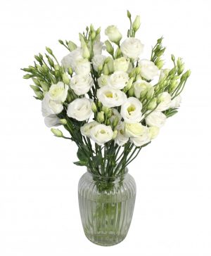 Garden Lovely Lisi Flowers & Plants Co.