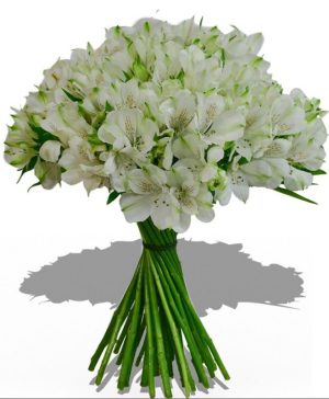 Garden Lovely You Flowers & Plants Co.