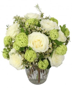 Garden Lover’s Match Flowers & Plants Co.