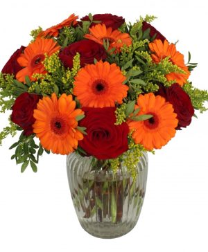 Garden Message in a Bottle Flowers & Plants Co.