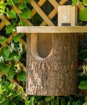 Natural Log Robin Nesting Box
