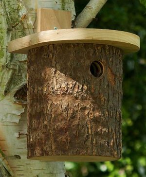 Natural Log Tit Nesting Box