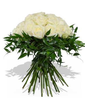 Garden New Flame Flowers & Plants Co.