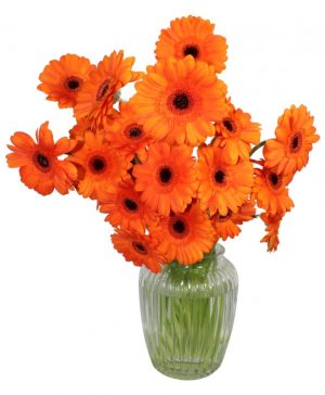 Garden On the Bright Side Flowers & Plants Co.