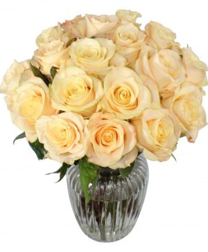 Garden One More Dance Flowers & Plants Co.