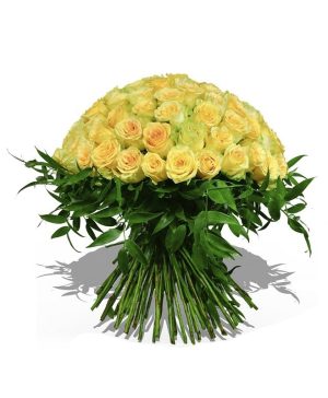 Garden One Thousand and One Nights Flowers & Plants Co.