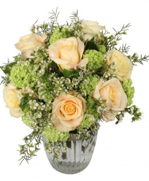 Garden Only the Best Flowers & Plants Co.