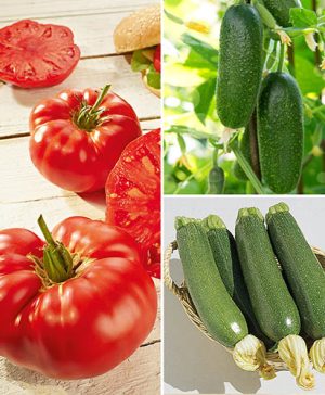 Outdoor Veg Collection