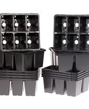 Pack of 12 unique 6-hole vented pricking out Trays