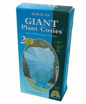 Pair of Giant Fleece Plant Cosies