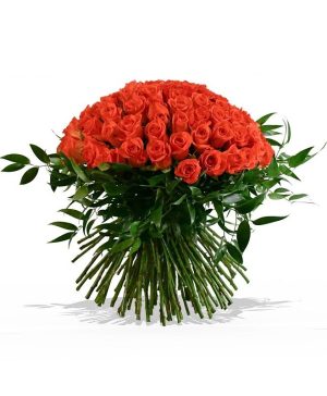 Garden Paradiso Flowers & Plants Co.