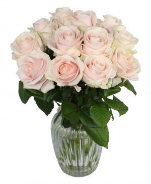 Garden Parisian Passion Flowers & Plants Co.