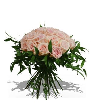 Garden Passionate Rose Flowers & Plants Co.