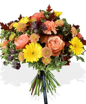 Garden Peach Rose Perfection Flowers & Plants Co.