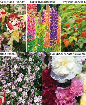 Garden Perennial Saver Collection Thompson & Morgan