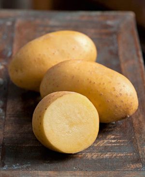 Potato Easy grow Adessa