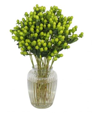 Garden Premium Hypericum Flowers & Plants Co.