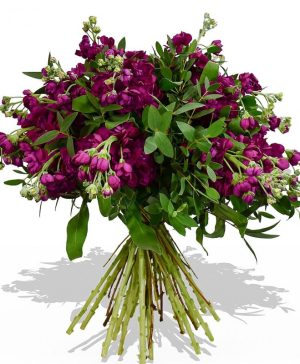 Garden Purple Passion Flowers & Plants Co.