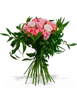 Garden Quello Rosa Flowers & Plants Co.