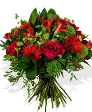 Garden Red Rose & Gerbera Flowers & Plants Co.