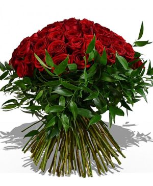 Garden Red Rose Revelation Flowers & Plants Co.