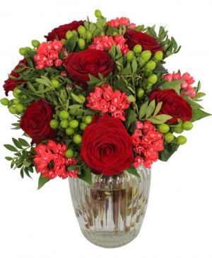 Garden Red Rose Revolution Flowers & Plants Co.