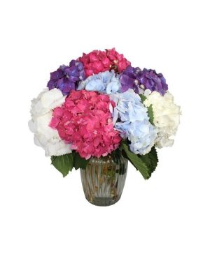 Garden Republic of Love Flowers & Plants Co.