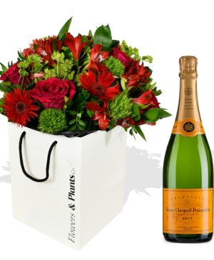 Garden Roses & Champagne Flowers & Plants Co.