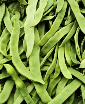 Runner Bean Moonlight