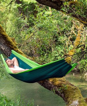 Silk Traveller Forest