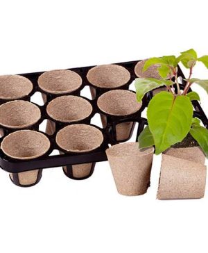 Skelly Tray x 3 and 36 Jiffy Bio Pots