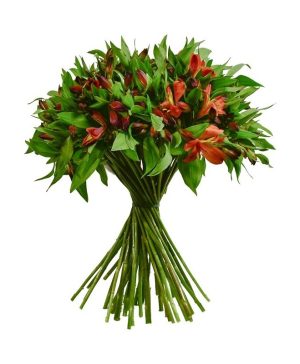 Garden Skyline Drive Flowers & Plants Co.