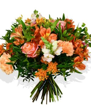 Garden Snapdragon Flowers & Plants Co.