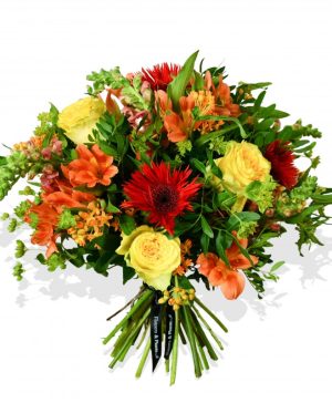 Garden Snapdragon and Gerbera Flowers & Plants Co.