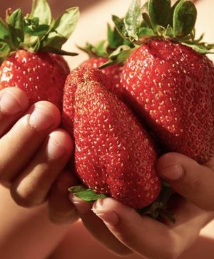 Strawberry Sweet Colossus