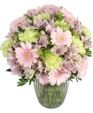 Garden Summer Burst Flowers & Plants Co.