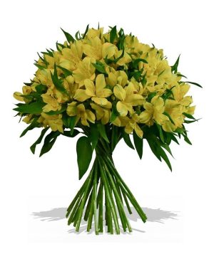 Garden Summer Skies Flowers & Plants Co.