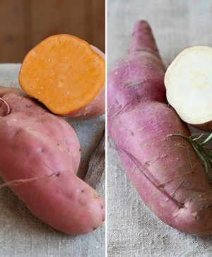 Sweet Potato Growing Kit