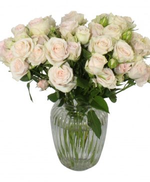 Garden Sweet Spirit Flowers & Plants Co.