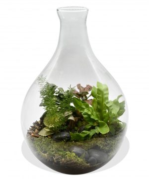 Garden Terrarium in Hourglass vase Flowers & Plants Co.