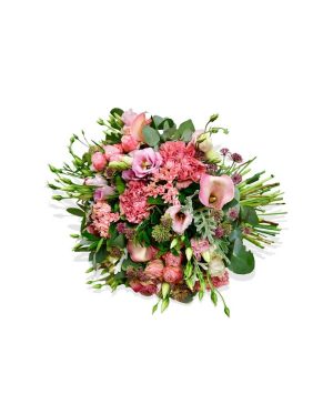 Garden The Aficionado Flowers & Plants Co.