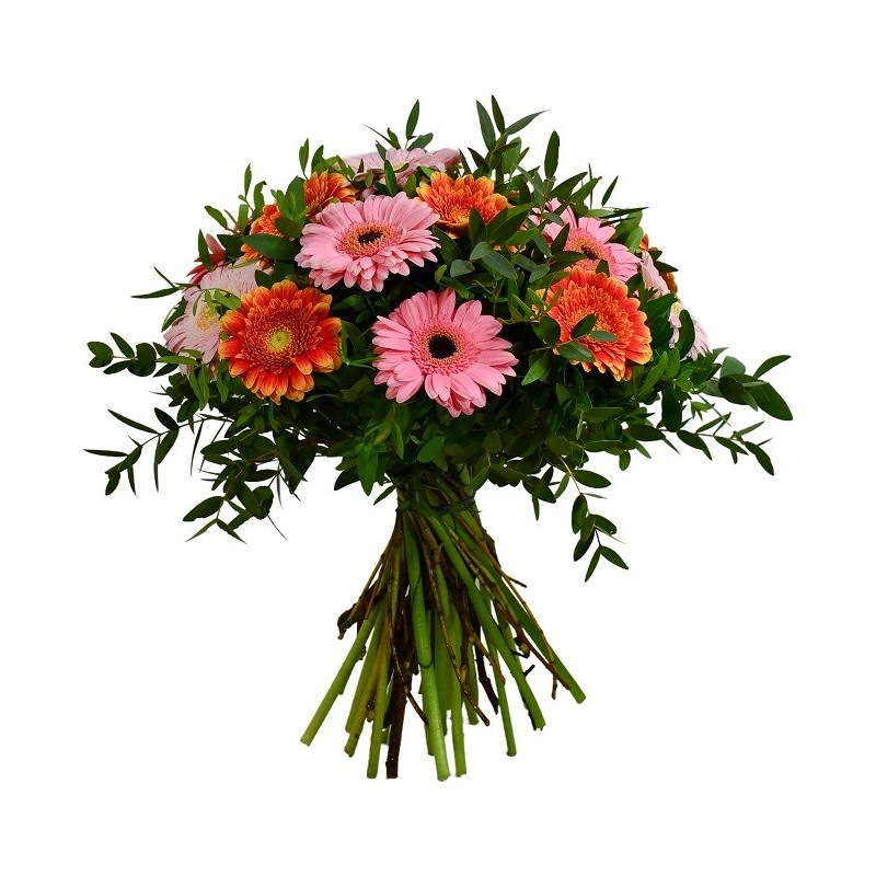 Garden The Carousel Flowers & Plants Co.