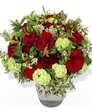 Garden The Debutant Flowers & Plants Co.