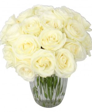 Garden The Duchess Flowers & Plants Co.