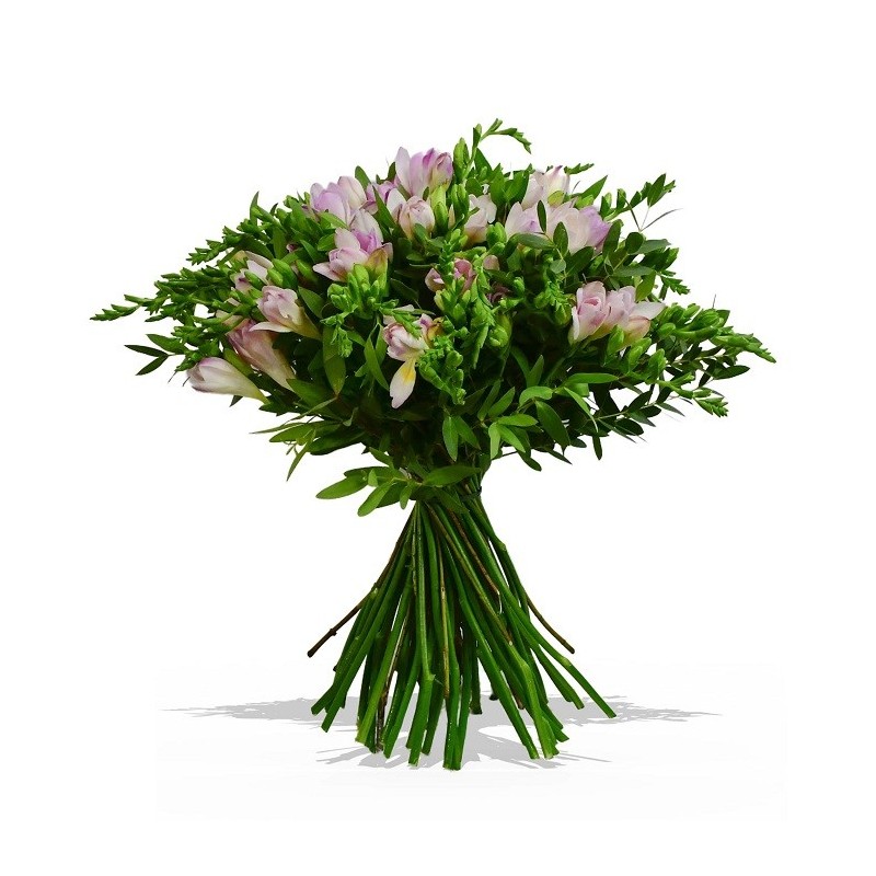 Garden The Firefly Flowers & Plants Co.