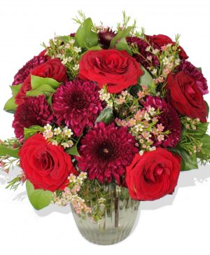 Garden The Hollywood Hills Flowers & Plants Co.